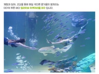 [(주)아쿠아월드] [얼라이브 아쿠아리움 대구] 각 부문별 모집공고 - 사람인