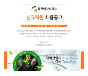 [(재)강원테크노파크] (재)강원테크노파크 신규직원 채용공고 - 사람인
