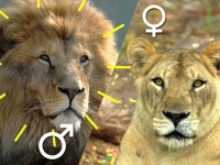 E학습/수학 교육|사이언스올 사이언스올/E학습/수학 교육