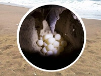 E학습/수학 교육|사이언스올 사이언스올/E학습/수학 교육