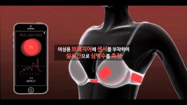 E학습/SW교육|사이언스올 사이언스올/E학습/SW교육