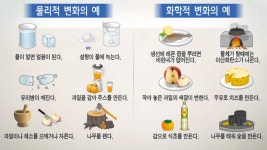 E학습/과학 교육|사이언스올 사이언스올/E학습/과학 교육