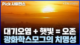 미디어/YTN 사이언스/사이언스TV|사이언스올 사이언스올/미디어/YTN 사이언스/사이언스TV