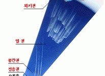 과학 교육 | 과학포털 사이언스올 | Page 513