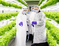 사이언스타임즈 K-Farm으로 스마트팜 표준 만든다