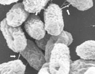 약 남용이 위험한 이유 약 남용이 위험한 이유 