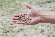 토양침식으로 전 세계 경작지 위기 - 지구온난화 마이너 갤러리