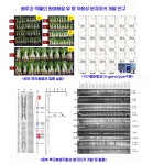 채소원예학실험실 - 원예학과 원예학과