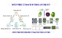 채소원예학실험실 - 원예학과 원예학과