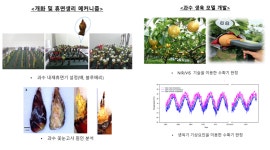 과수원예학실험실 - 원예학과 원예학과