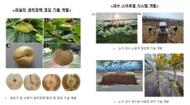 과수원예학실험실 - 원예학과 원예학과