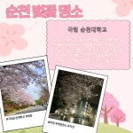 sub 카드뉴스 - 국립순천대학교 