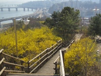 사근동