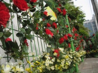 포토앨범 - 동네소식 및 소개 - 응봉동