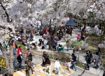 포토앨범 - 동네소식 및 소개 - 금호2-3가동