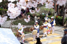 포토앨범 - 동네소식 및 소개 - 금호2-3가동