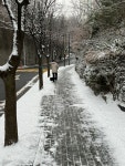 포토앨범 - 동네소식 및 소개 - 행당제2동