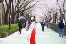 송정동