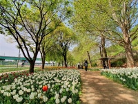 성동사진 - 참여마당 - 성동구 문화관광