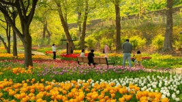 성동사진 - 참여마당 - 성동구 문화관광