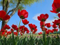 성동사진 - 참여마당 - 성동구 문화관광