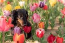 성동사진 - 참여마당 - 성동구 문화관광