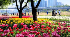 성동사진 - 참여마당 - 성동구 문화관광