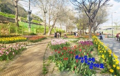 성동소식지 - 성동소식 - 성동뉴스