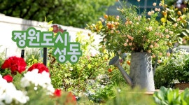 성동소식지 - 성동소식 - 성동뉴스
