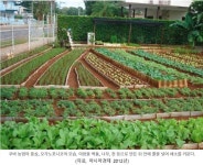 서대문구청 > 먹거리 > 알림마당 > 먹거리사업소식 | 보기
