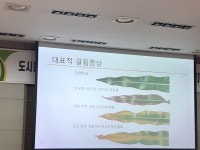 서대문구청 > 먹거리 > 알림마당 > 먹거리사업소식 | 보기