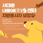 서대문구청 > 구정소식 > 새소식 > 공지사항 | 서대문 내품애센터에서 멈무들과 함께할 자원봉사자를 모집합니다 보기