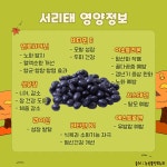 서대문구 보건소