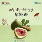서대문구 보건소
