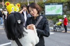 서대문구의회 누리집 - 의정활동 > 의정활동사진 (제목 : 인왕골 어울림 한마당) 서대문구의회
