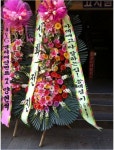 신화 전진, 원타임의 송백경 키 160cm 폭로한 코믹 화환 눈길 | 세계일보 신화 전진, 원타임의 송백경 키 160cm 폭로한 코믹 화환 눈길