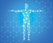 [설왕설래] 불로장생 | 세계일보 [설왕설래] 불로장생