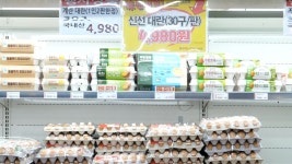 세상을 보는 눈, 글로벌 미디어 - 세계일보 - 세계일보
