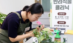 ‘식물 주치의’ 중랑구, 반려 식물 클리닉 운영 [한강로 사진관] | 세계일보 ‘식물 주치의’ 중랑구, 반려 식물 클리닉 운영 [한강로 사진관]