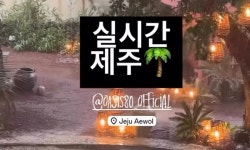 폭우에 이동건 제주 카페도 물바다 | 세계일보 폭우에 이동건 제주 카페도 물바다