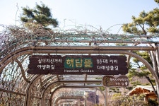 세종시콘텐츠허브 > 블로그기자단 > 시민리포트 > 민원·소통·참여