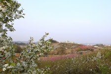 민원·소통·참여