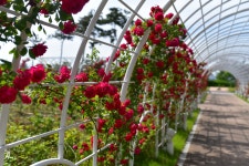 민원·소통·참여