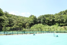 세종시콘텐츠허브 > 블로그기자단 > 시민리포트 > 민원·소통·참여