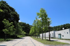 세종시콘텐츠허브 > 블로그기자단 > 시민리포트 > 민원·소통·참여