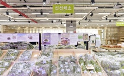 지점안내 >				 																																																																																																																																 싱싱장터... 