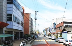 원리 > 마을안내 > 조치원읍소개 >