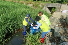 언론보도자료 > 보도자료 > 세종소식 > 세종소개