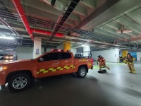 언론보도자료 > 보도자료 > 세종소식 > 세종소개