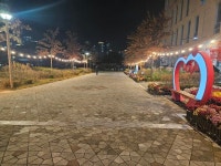 언론보도자료 > 보도자료 > 세종소식 > 세종소개